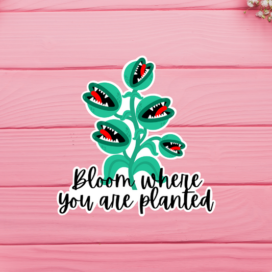 Bloom Where You Are Planted